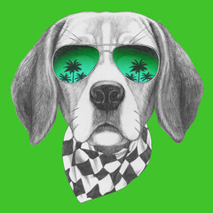 Portrait of Beagle with sunglasses and scarf,  hand-drawn illustration