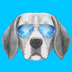 Portrait of Beagle with sunglasses,  hand-drawn illustration