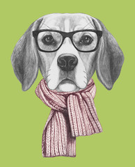 Portrait of Beagle with glasses and scarf,  hand-drawn illustration