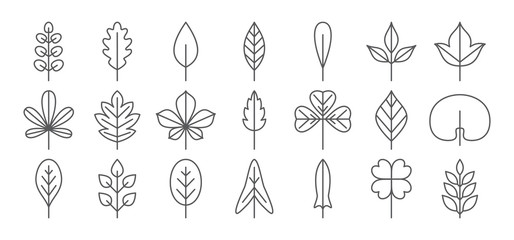 Fototapeta na wymiar Leaf line icon. Foliage thin simple outline. Contour vector collection