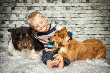 Liebe zu den Hunden