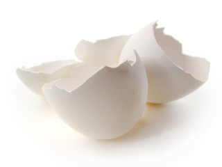 卵殻 © xiaosan