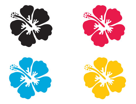 Hibiscus flower. Vector illustration.