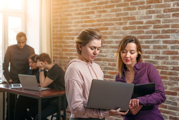 Couple of creative successful women solving a problem in office. Young male and female working on a project.