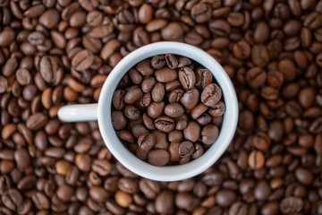 Kaffee-Bohnen in einer weissen Tasse auf braunem Kaffee-Bohnen Hintergrund