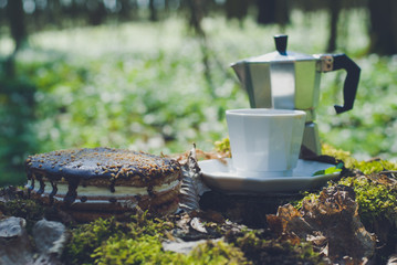  coffee percolator, picnic, forest, chocolate cake
