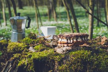  coffee percolator, picnic