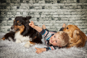 Boy spielt mit zwei Hunden