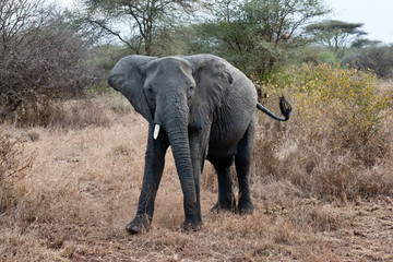 Voyage Afrique