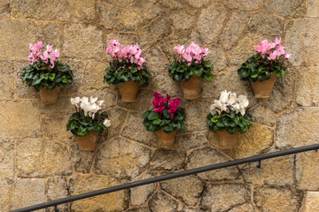 Mediterranes Flair, Mauer und Blumen