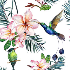 Beautiful colorful colibri and pink plumeria flowers on white background. Exotic tropical seamless pattern. Watecolor painting. Hand painted illustration.