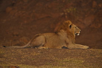 Voyage Afrique