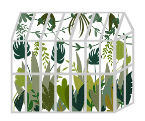 Greenhouse. Botanical garden with tropical plants, palms, lianas.  Isolated object on white background. Vector illustration.