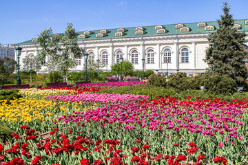 Alexander Garden in Moscow on Spring, Russia