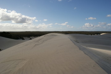 DESERTO