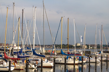 Luxury yachts in a harbour