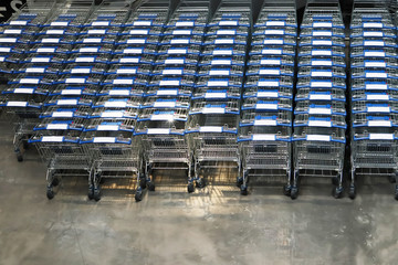 Many row of empty shopping carts waiting for customers.