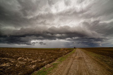 Agricultural landscape, arable crop field. Arable land is the land under temporary agricultural...