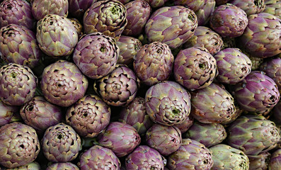artichokes cultivated with biological techniques without anticry