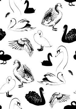 seamless pattern with various swans sketches, black and white, vector illustration