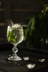 mint lemonade and fresh mint   (fresh petals of mint in the cooled drink)