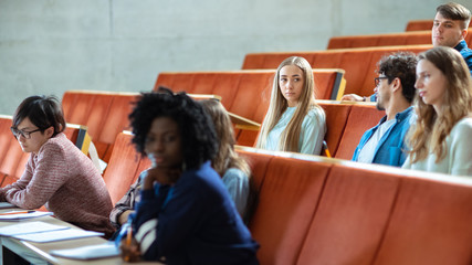 In the University Lecture Hall Multi Ethnic Group of Students Waiting For Teacher. Auditorium Full of Smart Young People with Bright Future Before Them. © Gorodenkoff