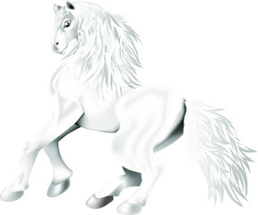 Obraz na płótnie Canvas galloping horse of white color 