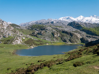 Fototapeta na wymiar View from above to the Ercina mountain lake near Covadonga, Asturias, Spain