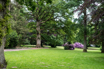 Spring flowers in the park in Arnhem, Netherlands