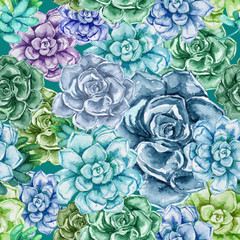 Seamless pattern succulents painted with watercolor. Color cacti.