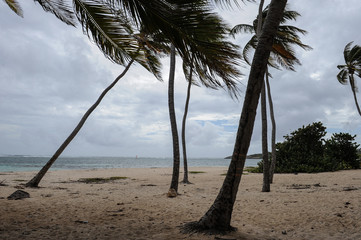 Martinique