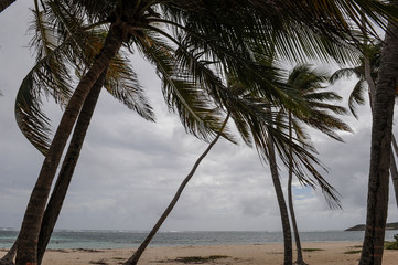 Martinique