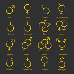 Vector icons on gender differences