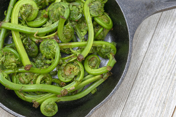 Fiddleheads