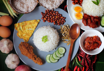 Asian food nasi lemak