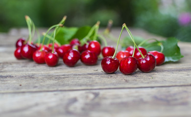 Freshly picked, delicious  cherries on old wooden table