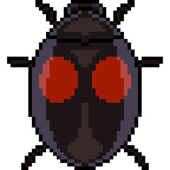 vector pixel art beetle