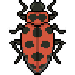 vector pixel art beetle