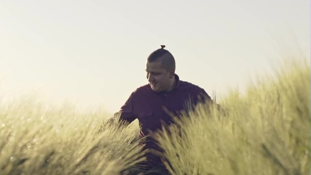 The farmer goes through the wheat field and emotionally and happy with a good crop of agricultural plants - slow motion.