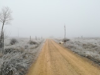 Camino infinito en invierno