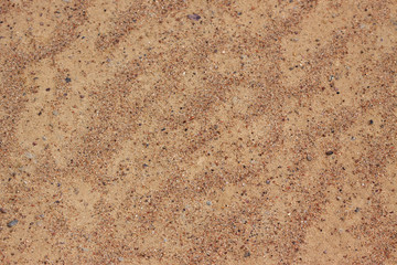 Texture of sea sand - natural background
