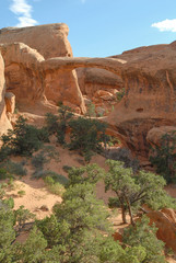 Arches National Park USA