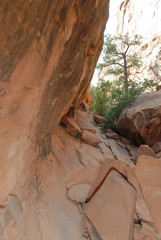 Arches National Park USA