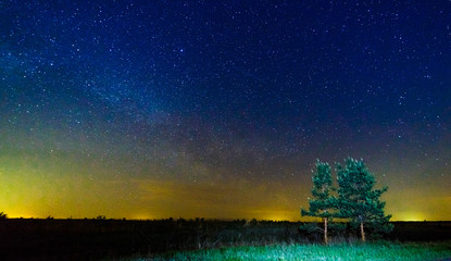 Fototapeta premium Starry sky and illuminated clouds above the trees.