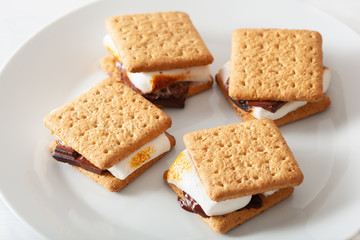 homemade marshmallow s'mores with chocolate on crackers