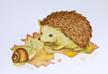 Igel und Schnecke © Amelie Petzin