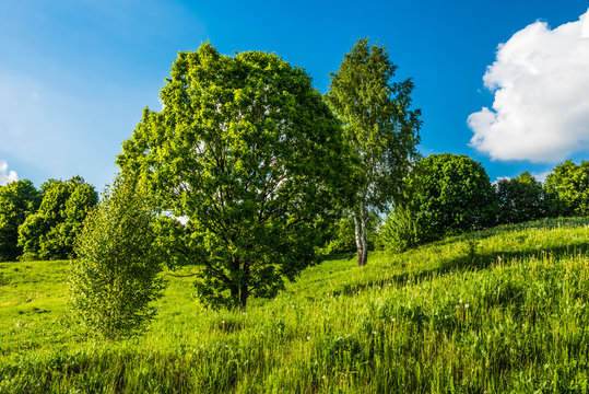 Beautiful summer countryside with hills, trees and sky with clouds