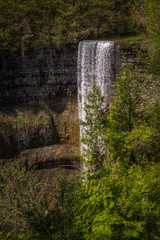Webster waterfall behind a tree 