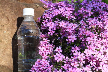 Bottle with drinking water on a background of flowers.
