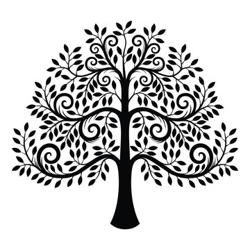Vintage tree logo design, Vector tree design isolated sketch on white background.